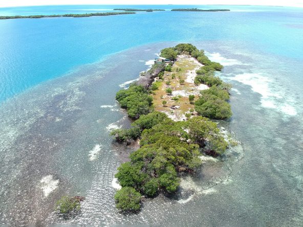 Aerial View of Bodden Caye, Private Island in Belize