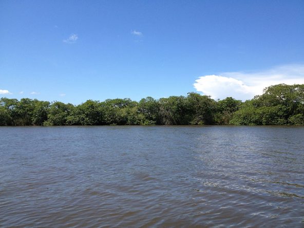 Front view of the property with mangroves, vegetation, and the sea