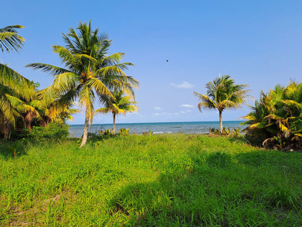 Breathtaking Belize Sea View Property. Prime Investment for Vacation Rentals or Beachfront Living.