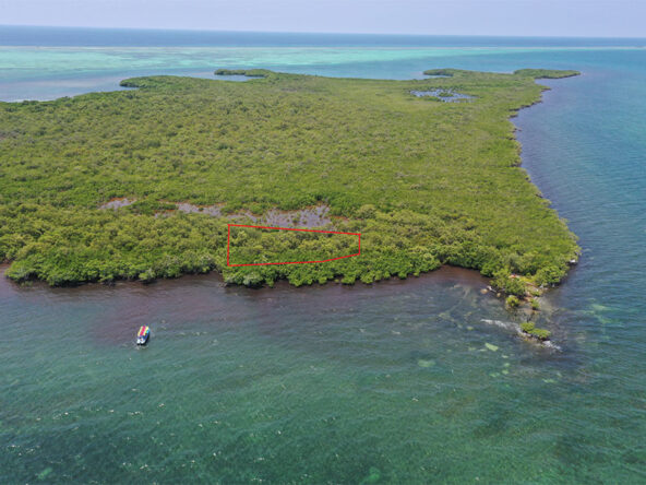 Aerial view of property on Columbus Island