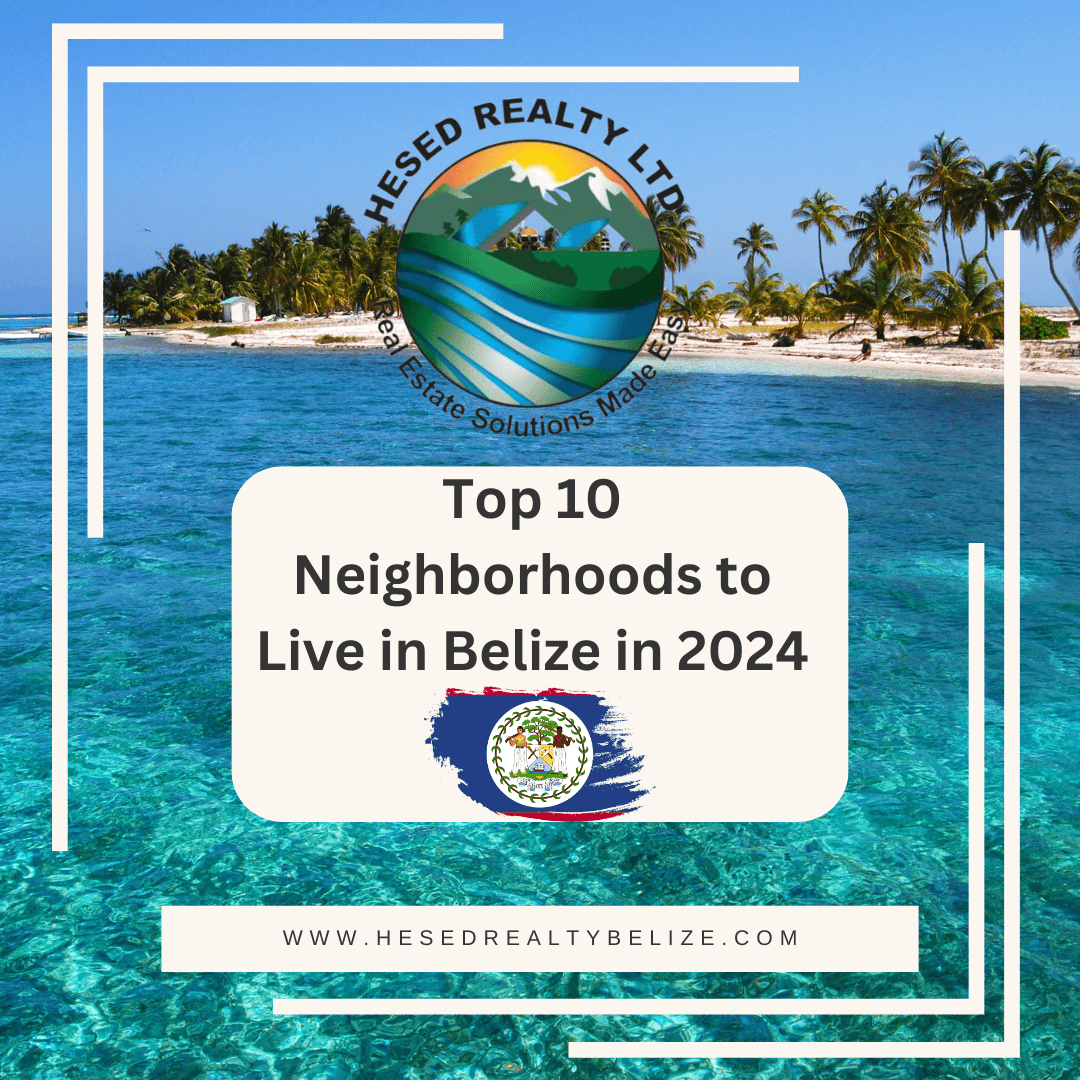 Beautiful beach in Belize with white sand, clear blue water, and palm trees